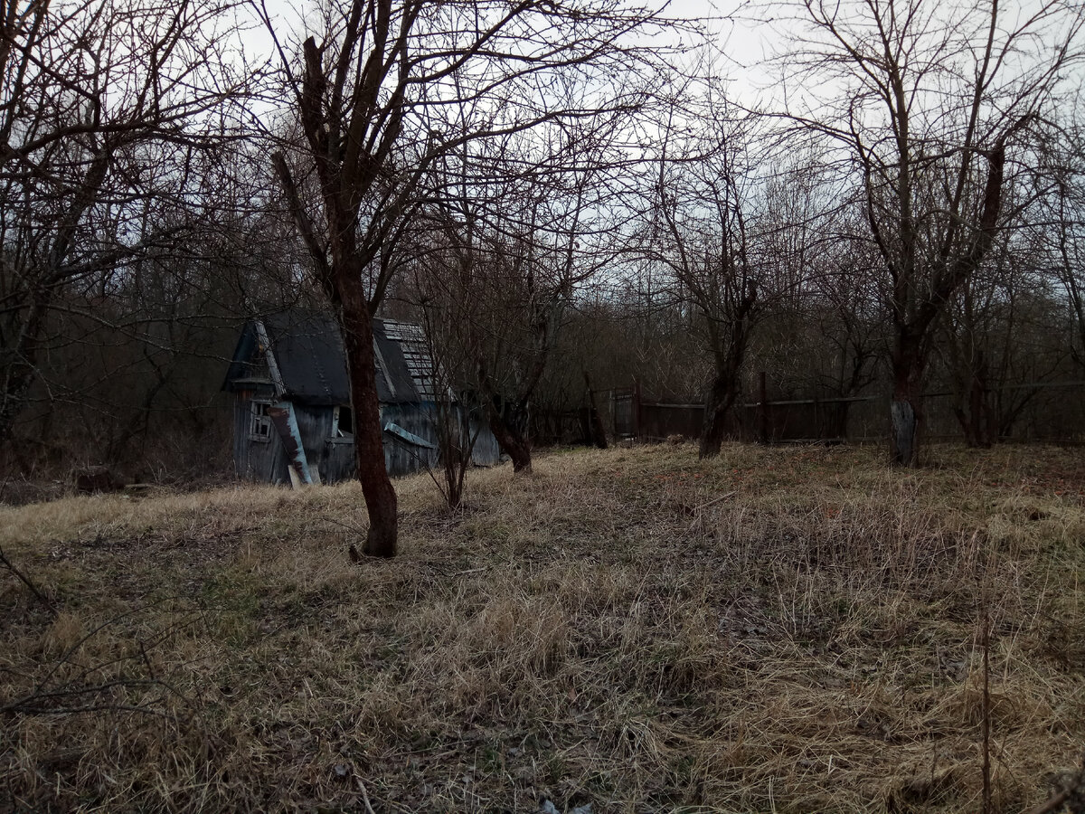 Старый-старый сад и дряхлый-дряхлый дом