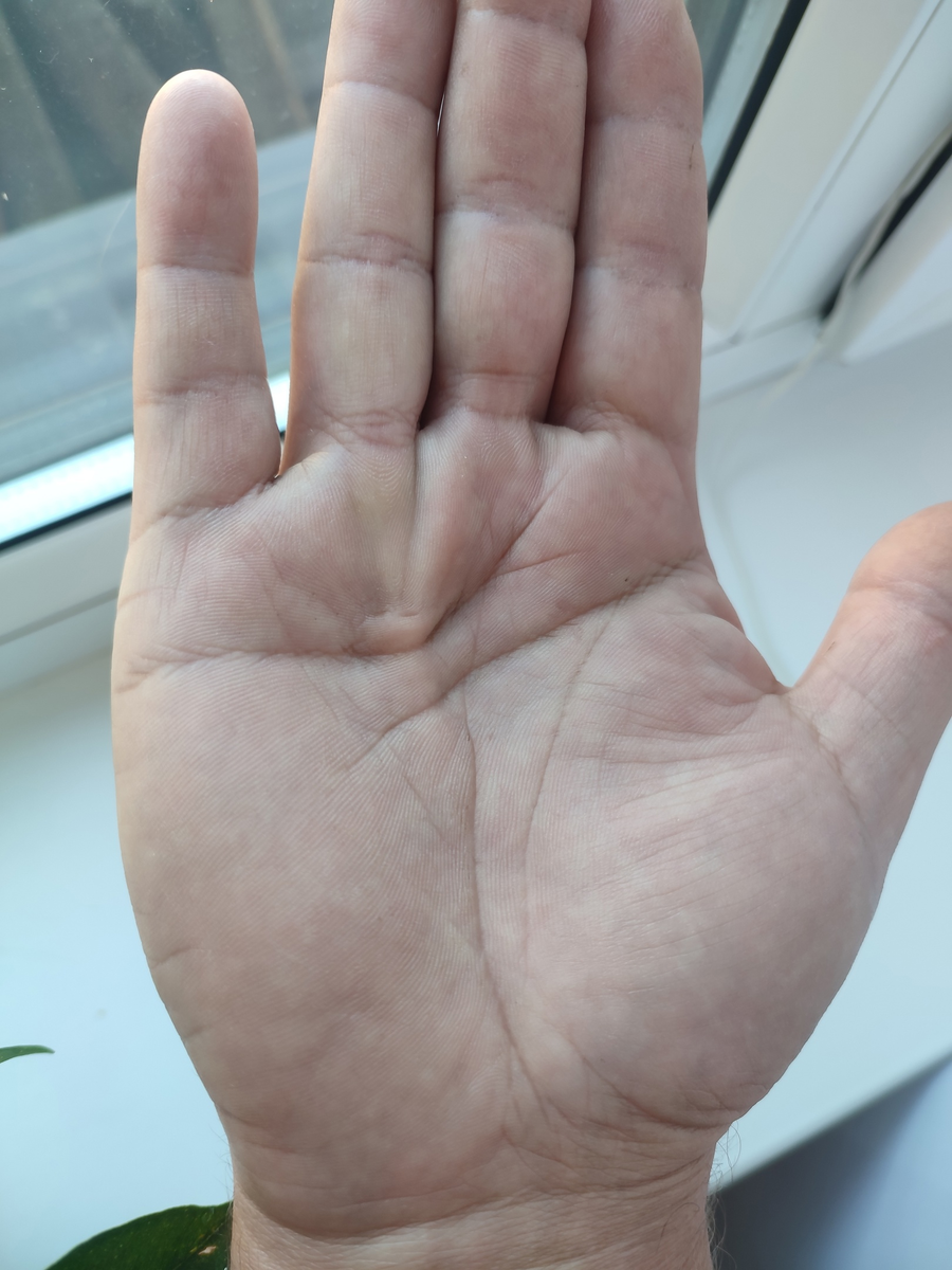 Правая рука. https://vk.com/3dhiroschool?z=photo-165147046_457287912%2Fwall-165147046_170063