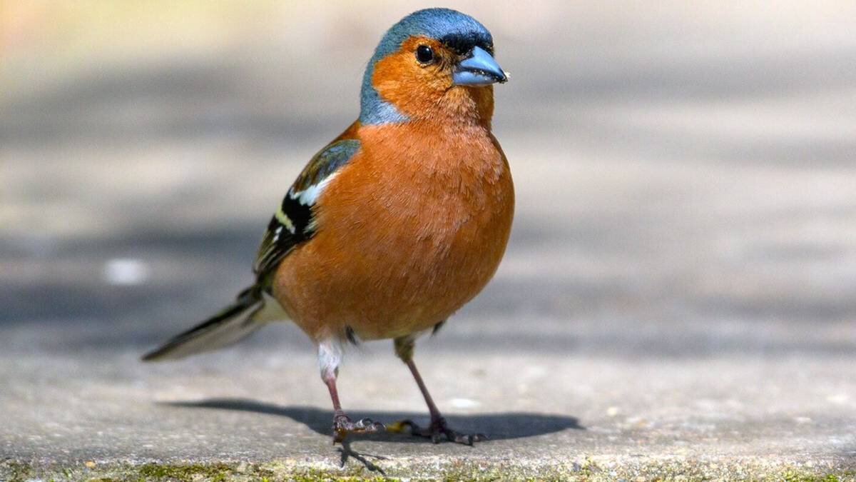    Фото: mos.ru / Официальный сайт мэра Москвы