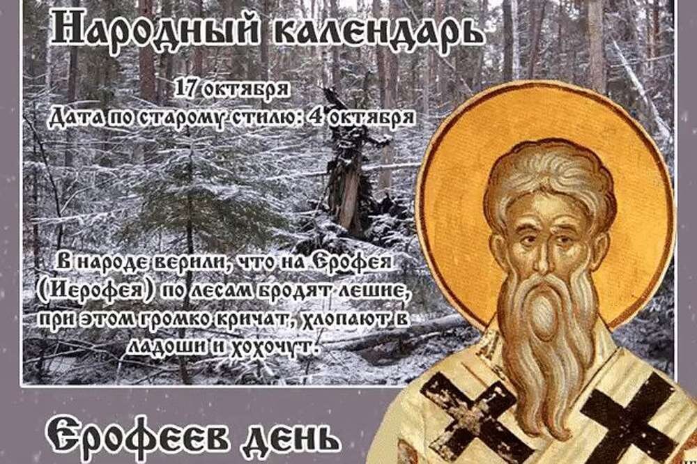 Фото из свободного доступа