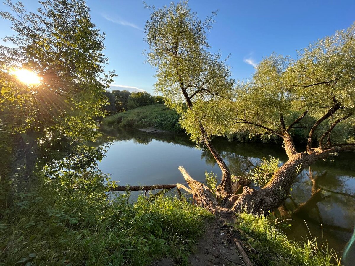 Полистайте галерею --> там потрясающе красивые фото Тарусы-города, Тарусы-речки, поля, ветлы, рыбацкие лодки... Таруса - одно из мест силы и не только для меня.