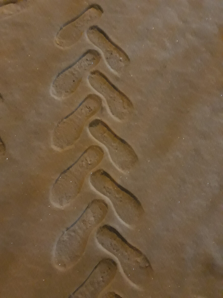 Ёлочка для вас!