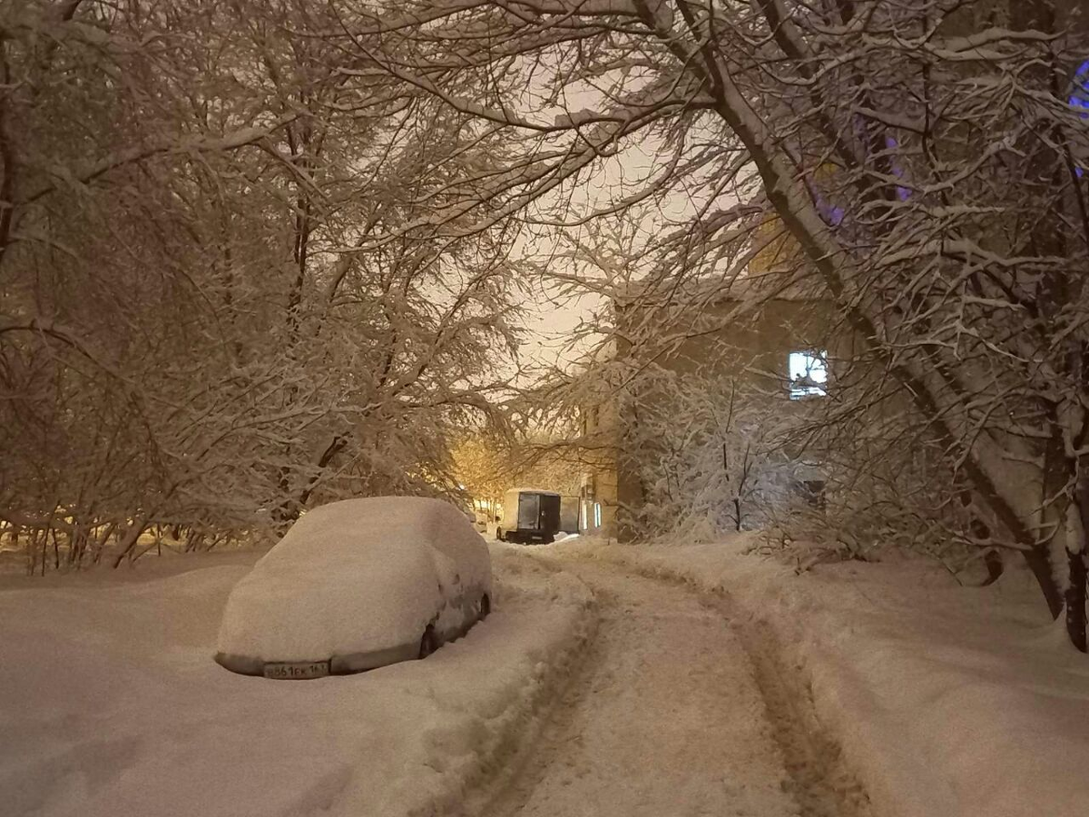 Фото автора.