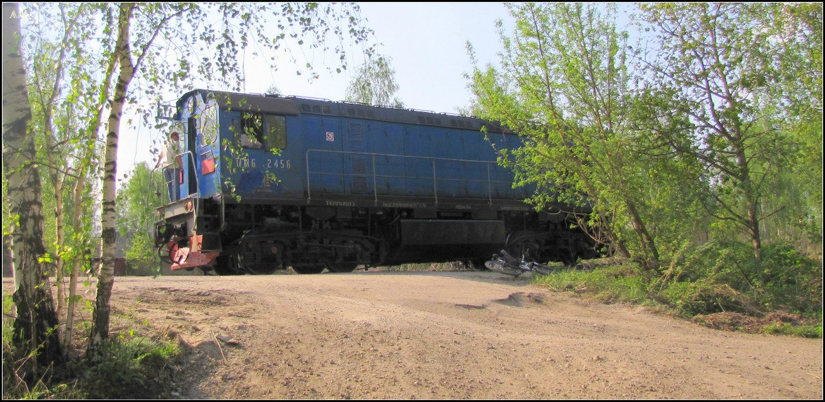 Тепловоз ЛТЗ на путях Ногинского ППЖТ (Московская обл.)