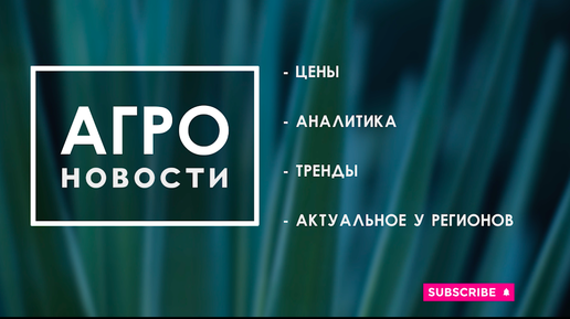 #агроновости от 20 ноября 2022г. Цены на зерно в регионах, сахарная свекла, подсолнечник, картофель - ждать ли дефицита?