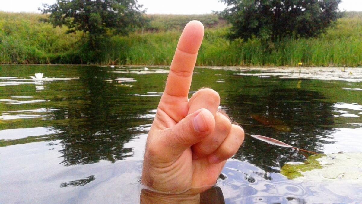    Саратовские приставы арестовали иномарку со штрафами ГИБДД на 44 миллионаНовости Саратова и области – Сетевое издание «Репортер64»