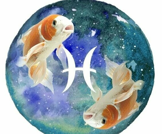 Добавьте описание