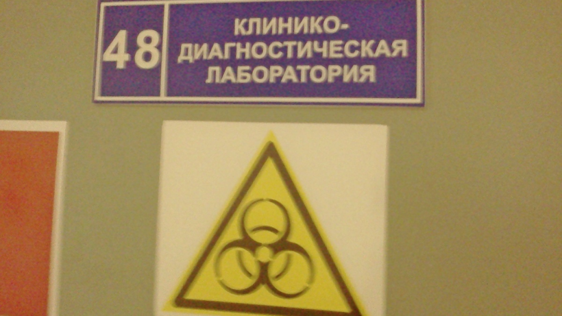   Фото Архив ИА «Свободные новости»