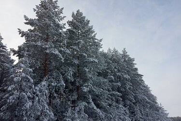 Фото из личного архива автора