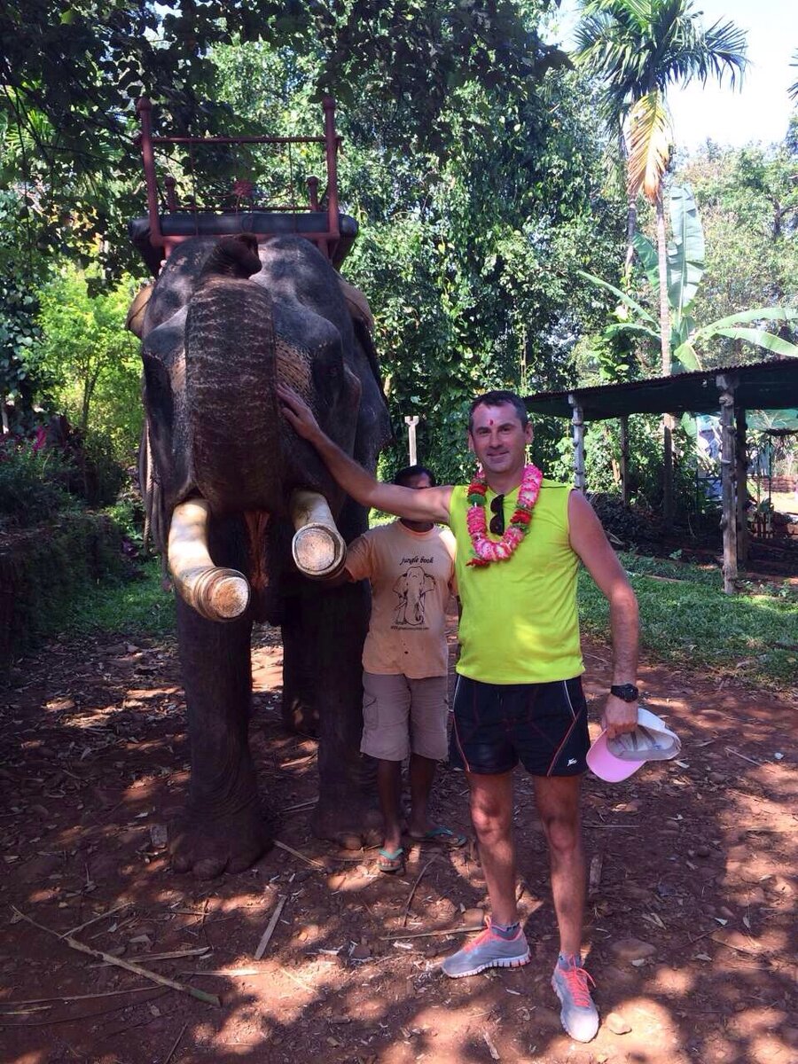 Индия. Гоа. Встреча со слоном (фото автора).