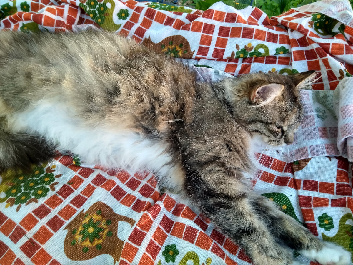 фото автора.