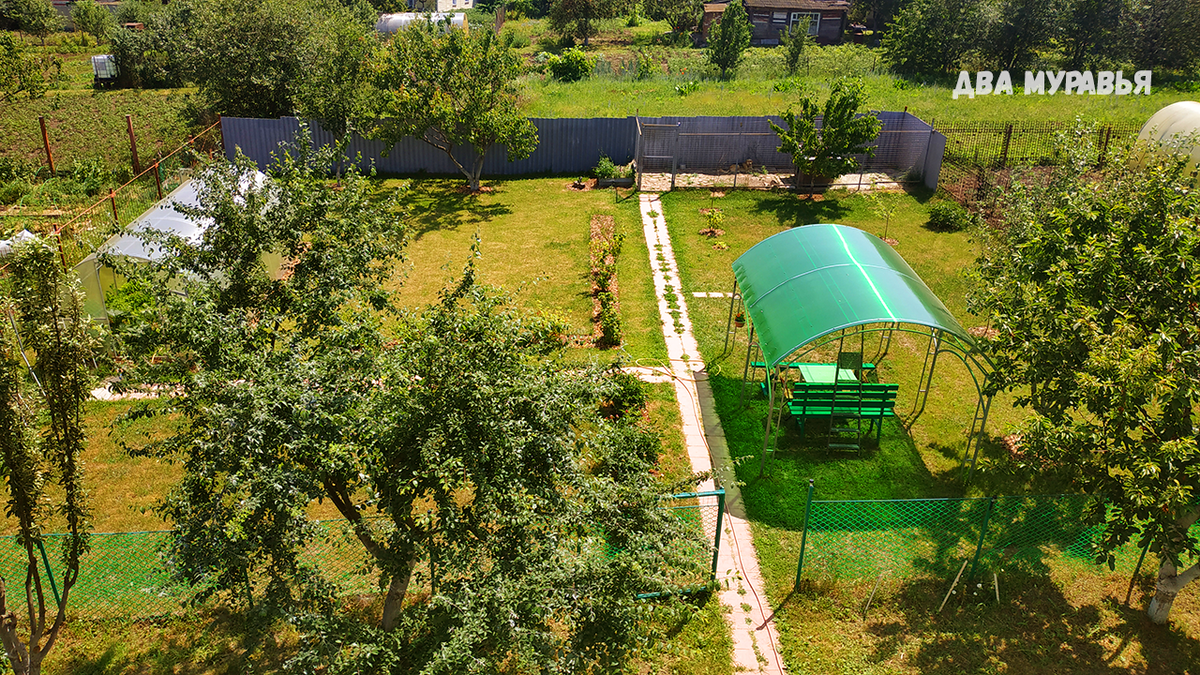 Вид на наш участок сверху