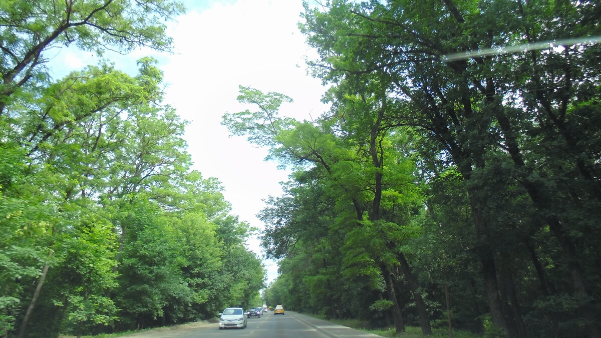 Природа всегда прекрасна в отличии от больничных стен. Фото автора