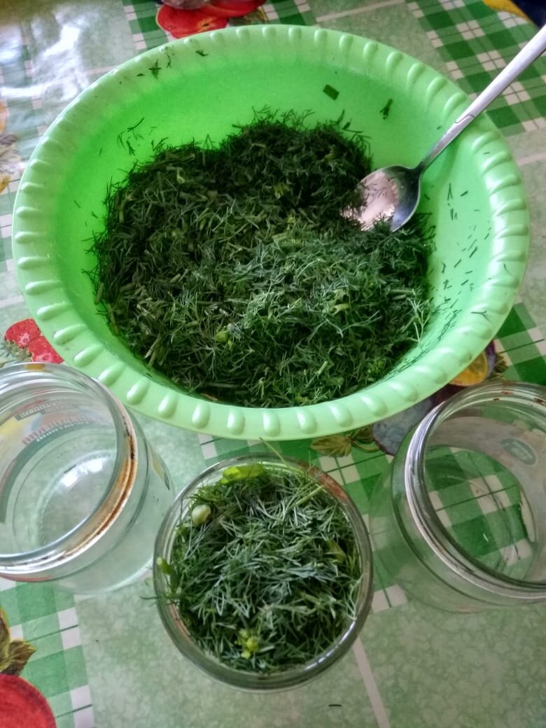 Заготовка зелени. Личное фото.