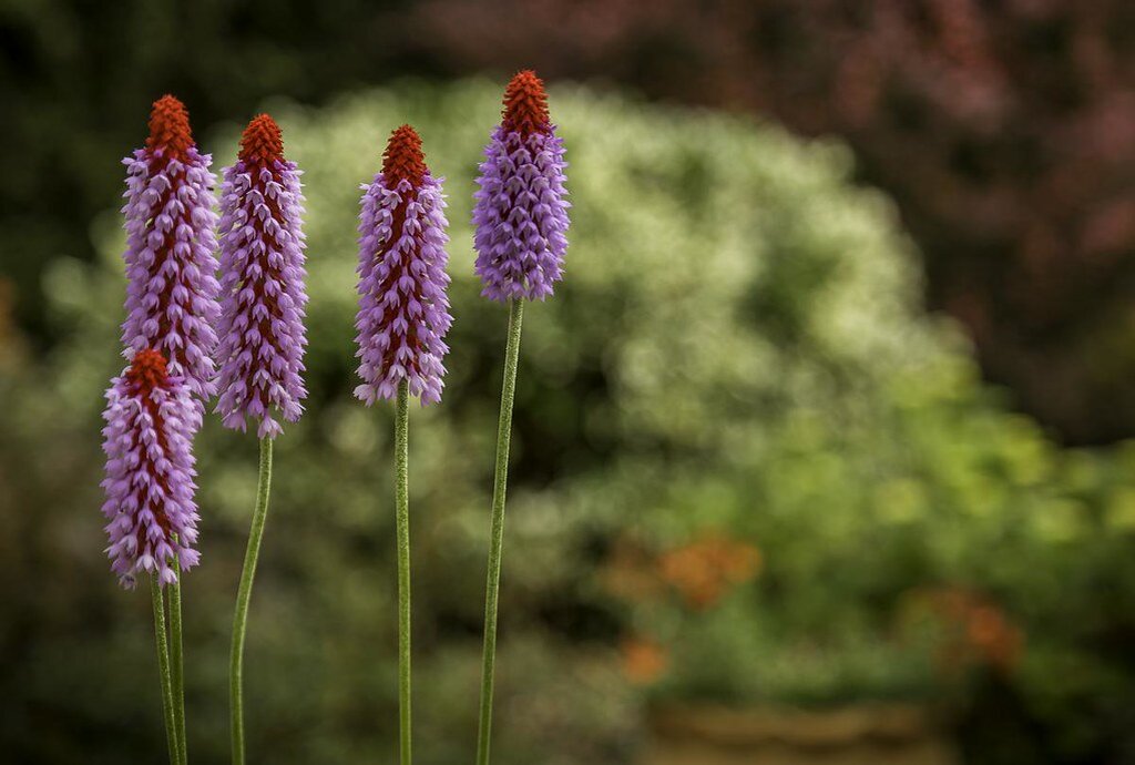 Фото: Pete Salter/Flickr