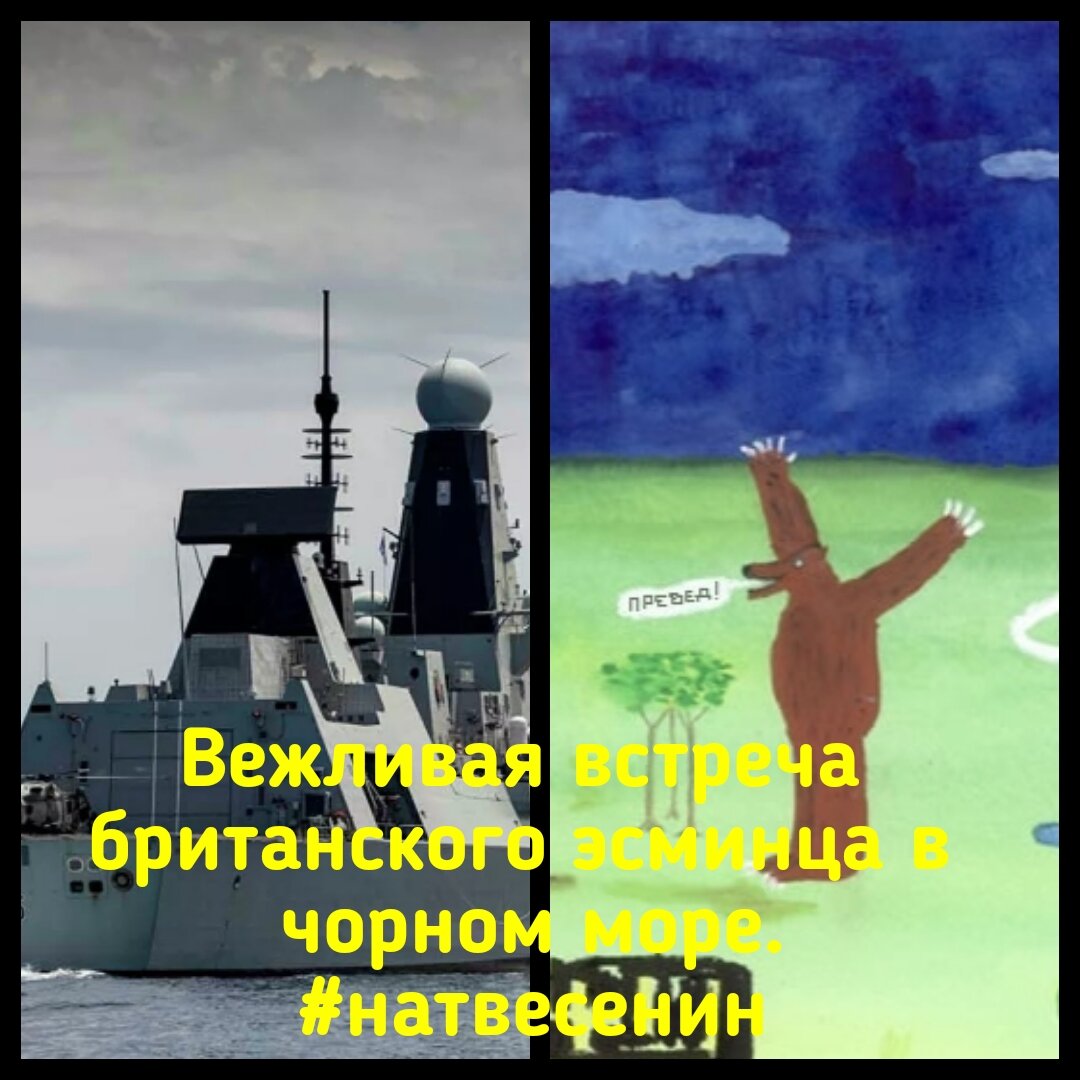 Вежливая встреча британского эсминца в чорном море.