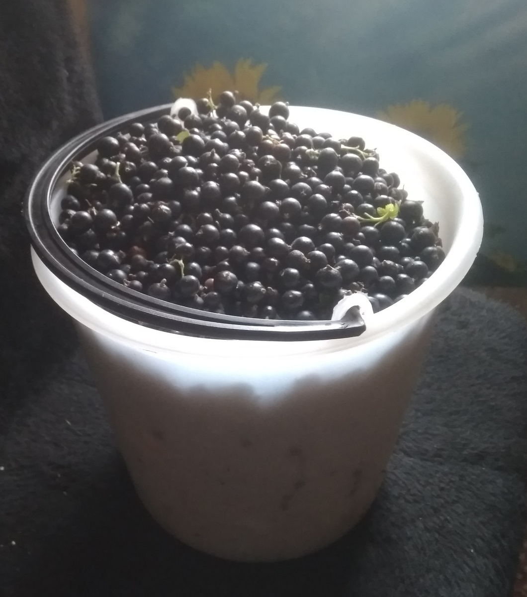 Ведерко смородины, ведерко малины → → Фото автора.