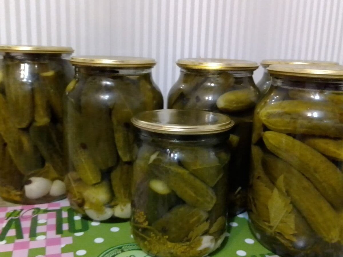 Фото вчерашнего дня.