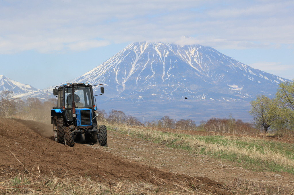 Посевная на Камчатке