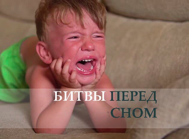 Лео, 2 года 2 месяца