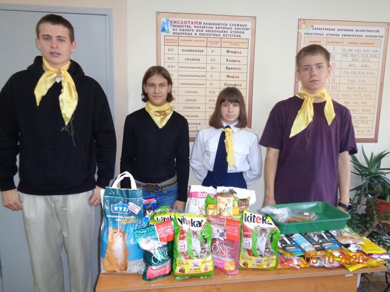 Всё, что собрали, отправилось по назначению!