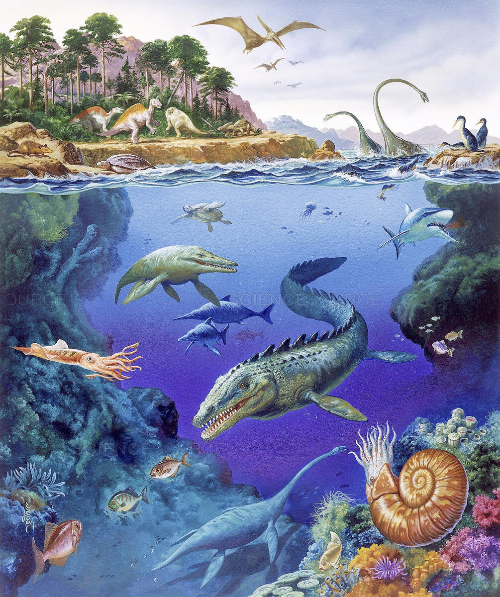 Меловой период мезозойской эры. Юрский период мезозойской эры. Меловой период мезозойской эры динозавры. Триасовый Юрский и меловой периоды.
