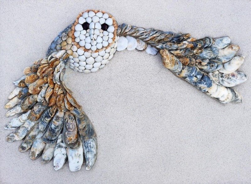 Источник фото https://www.instagram.com/p/CQ_UDWGB83Z/