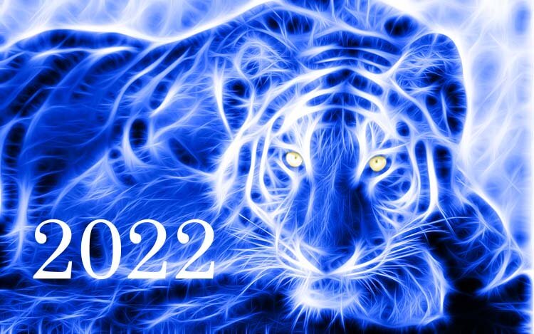 Конечно, всех интересует вопрос, каким будет следующий год? 2022 год станет непредсказуемым, с массой неожиданностей. И это неудивительно. Ведь символ следующего года — Голубой Водяной Тигр.