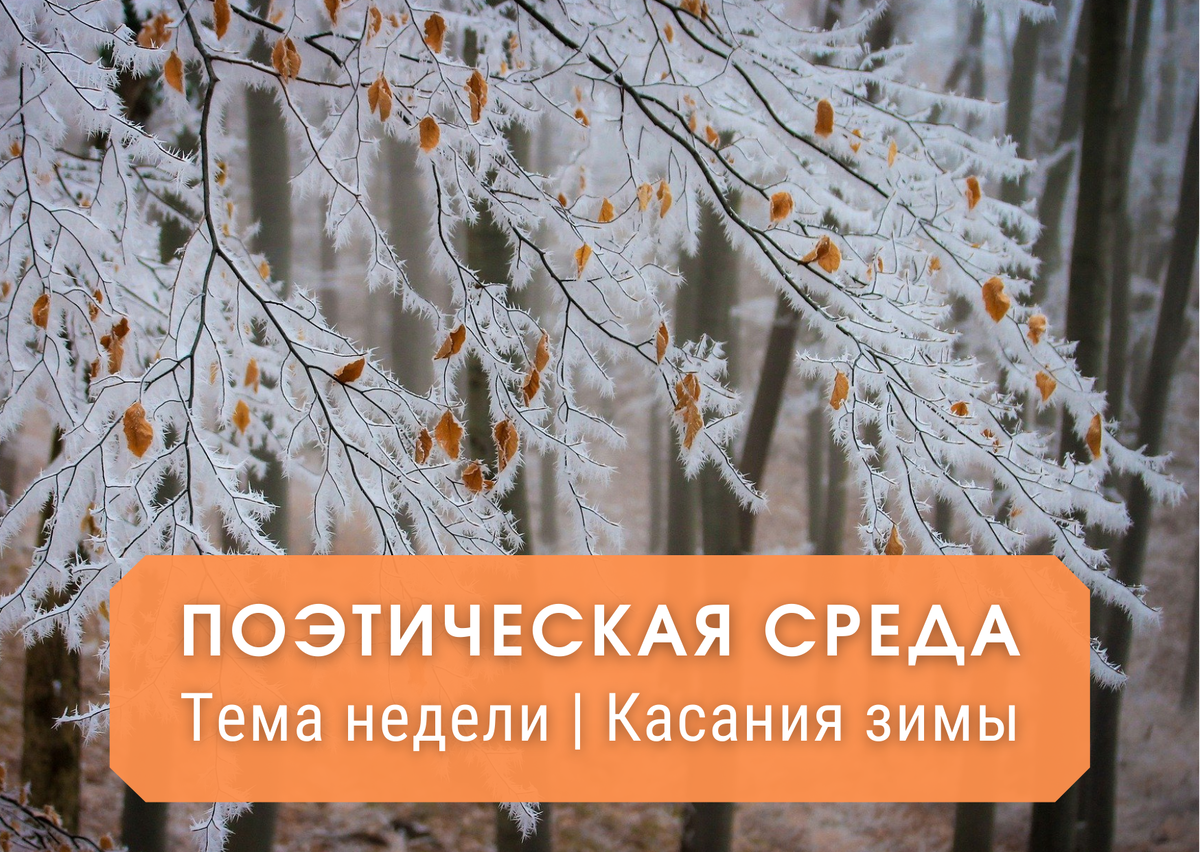 Поэтические среды. Зима ассоциации. Ассоциации с зимой. Зима ассоциации в картинках. С чем ассоциируется зима.