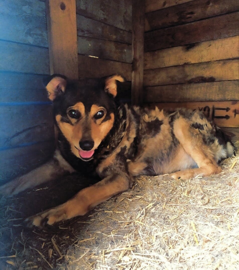 Семен. Ушел и больше не вернется...