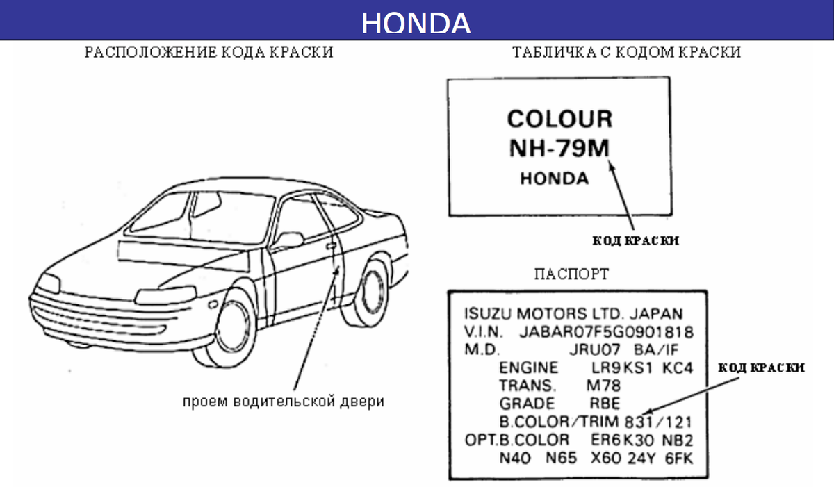 Покраска авто СВОИМИ РУКАМИ: где расположены коды краски на разных авто  (часть 1) | Клуб PROFI авторемонта | Дзен