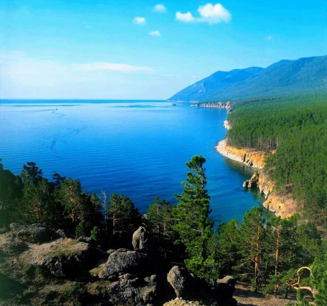 Фото из открытого источника. 