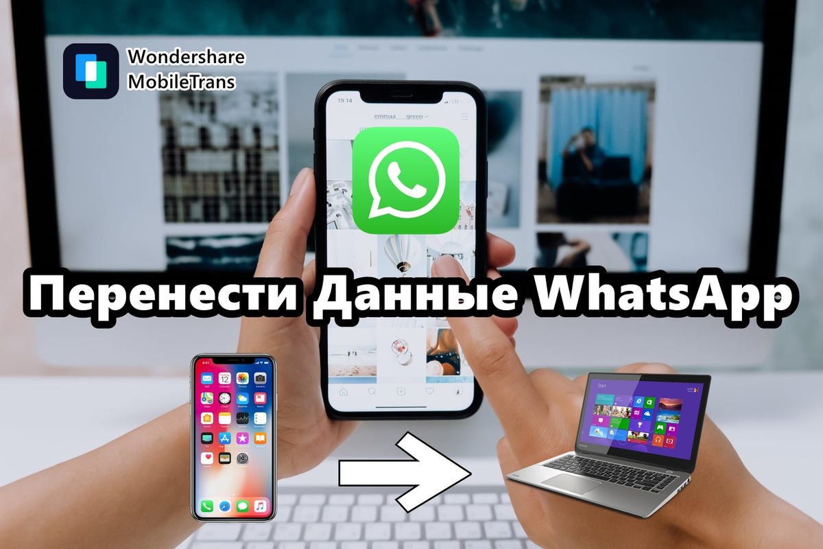 Как перенести все чаты, контакты и загрузки WhatsApp с телефона на  компьютер? | Wondershare | Дзен