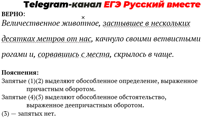 Презентация задание 17 егэ русский язык