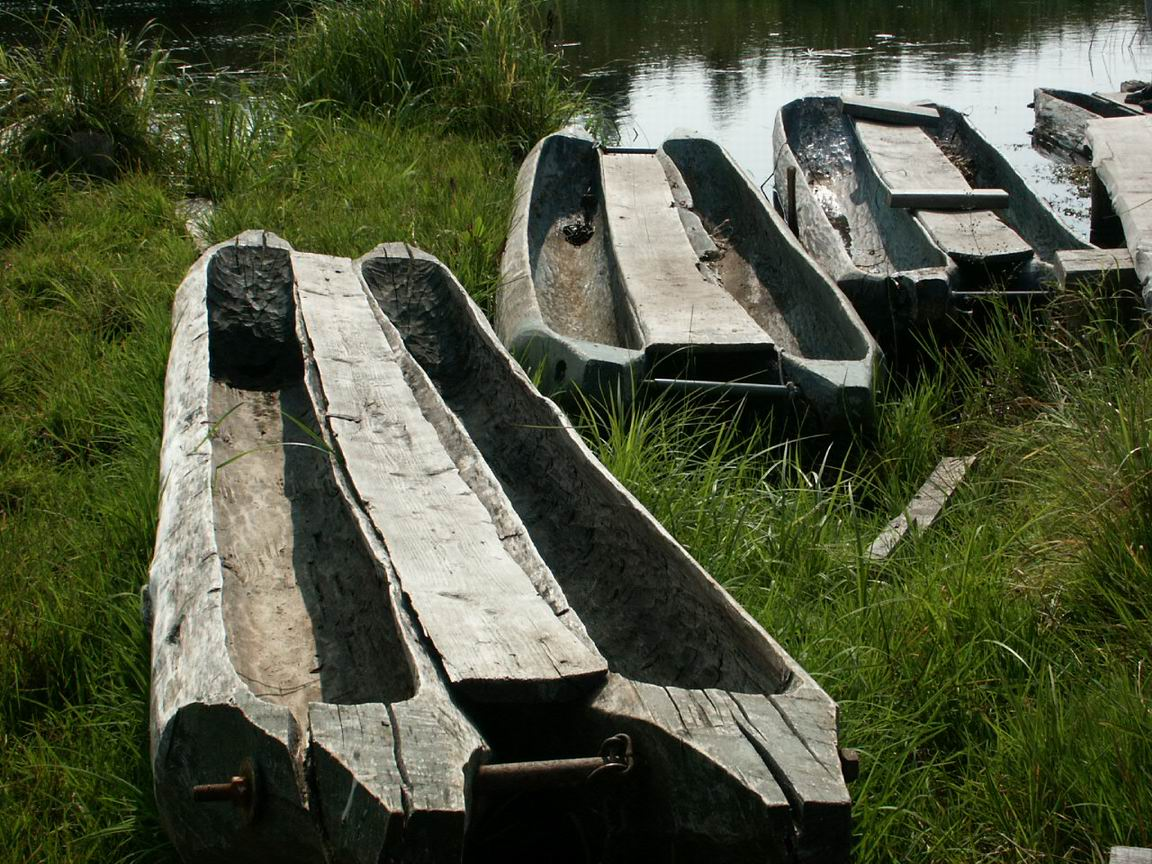 Лодка долбленка. Лодки долбленки из дерева. Самодельные лодки. Лодка выдолбленная из дерева.