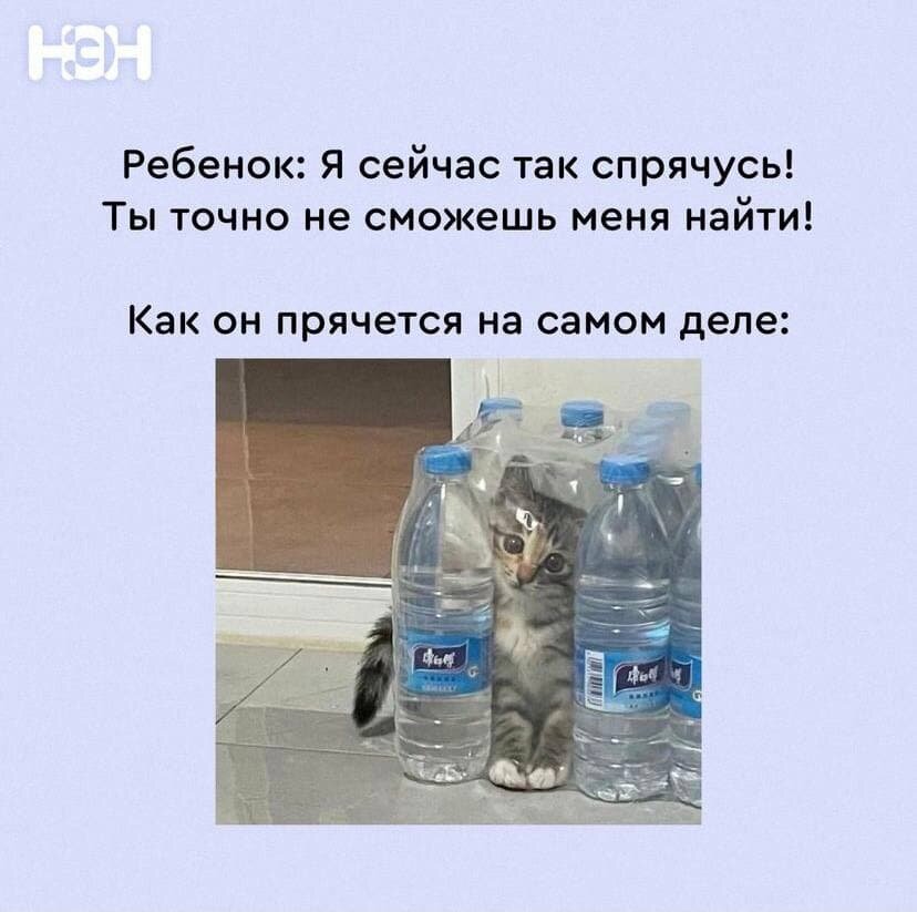 © «Нет, это нормально»