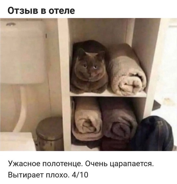 😁