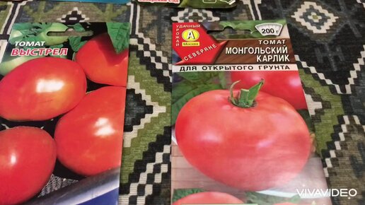Мой выбор - штамбовые супердетерминантные сорта томатов