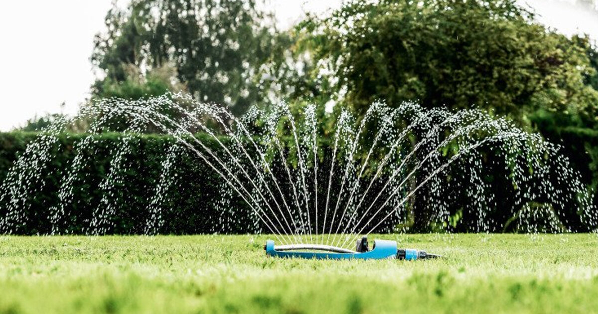 Полив газона