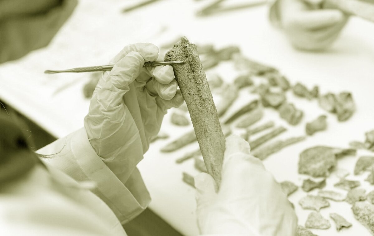 Как радиоуглеродным анализом ученые искажают историю? | Всемирная ...