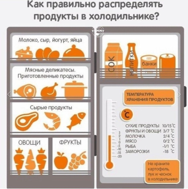 Распределение продуктов. Правильное хранение продуктов в холодильнике. Правильное размещение продуктов в холодильнике. Правильное распределение продуктов в холодильнике. Хранениее продууктов в холод.