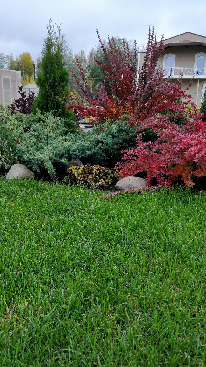 Здесь стелился рулонный газон.