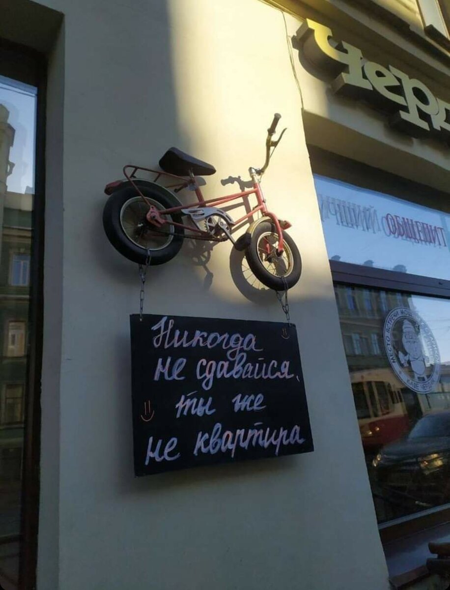 Из инета картинку украла