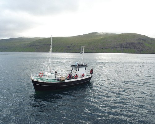 Рыболовецкое судно фарерских рыбаков в море. https://www.tripadvisor.ru/Attractions-g190329-Activities-c61-t217-Faroe_Islands.html