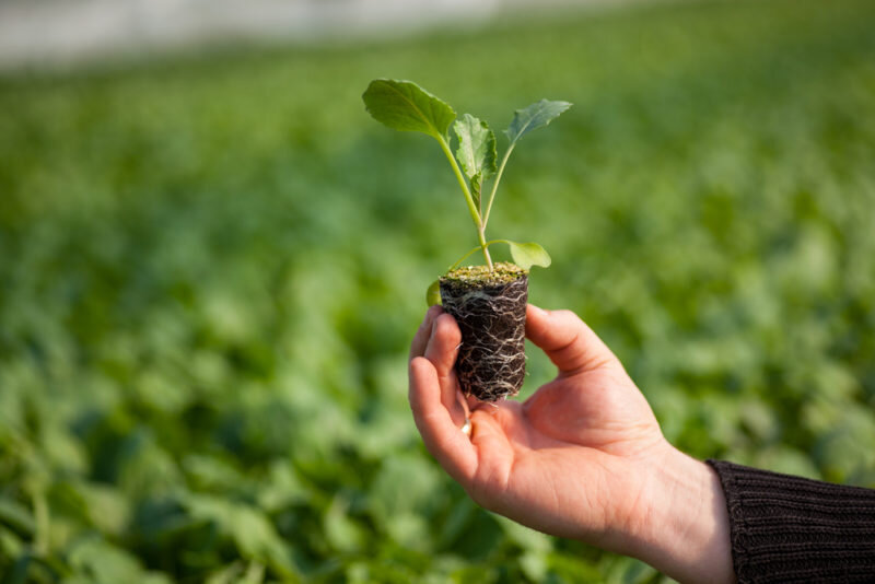 Некоторые правила