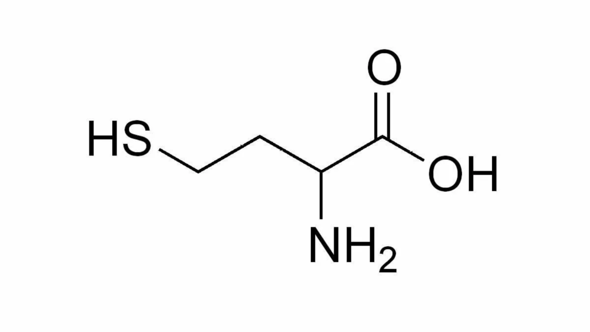 Гемоцистеин. Гомоцистеин. Формула гомоцистеина. Гомоцистеин аминокислота. Гомоцистеин картинки.
