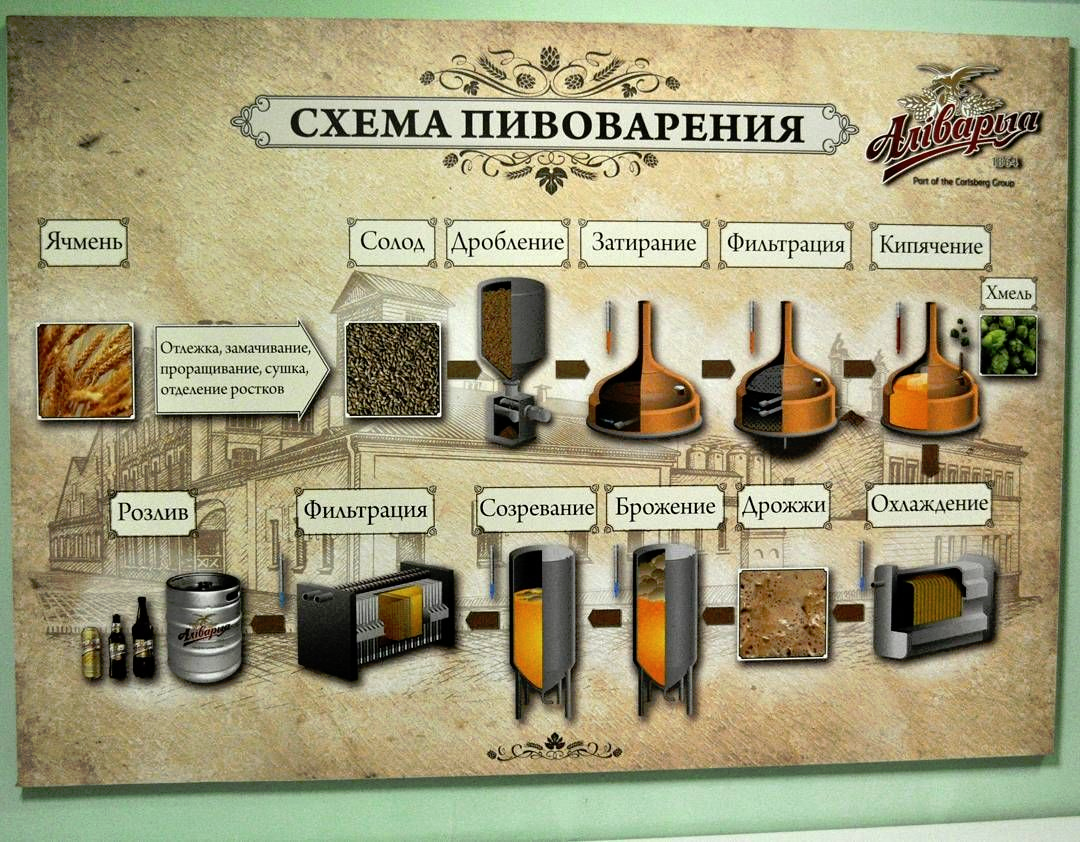 Технологическая схема изготовления пива