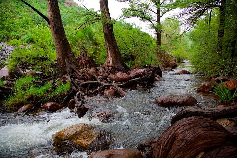 Рио-Кучуяки