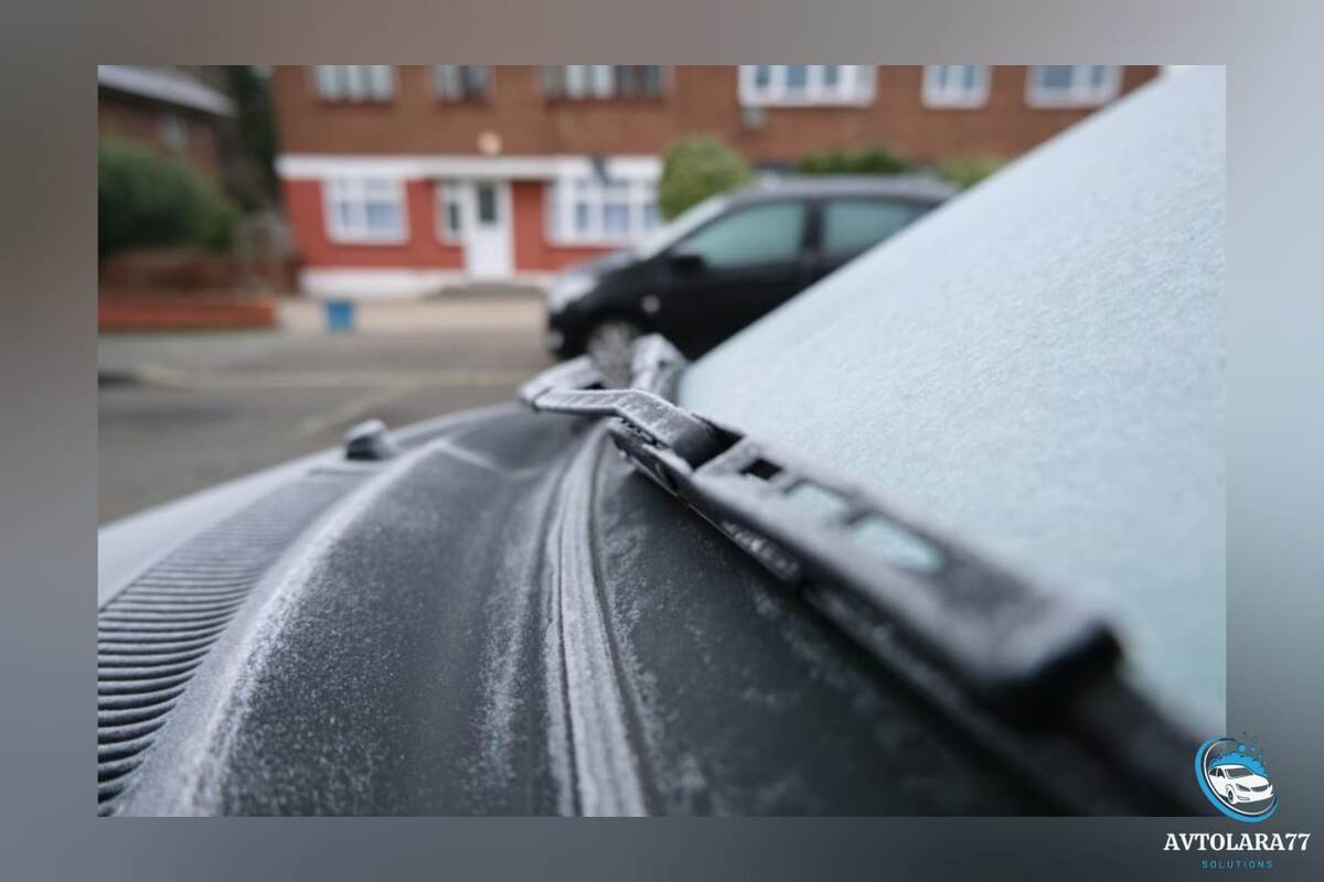 заказать: https://ya.cc/m/3QtSeS