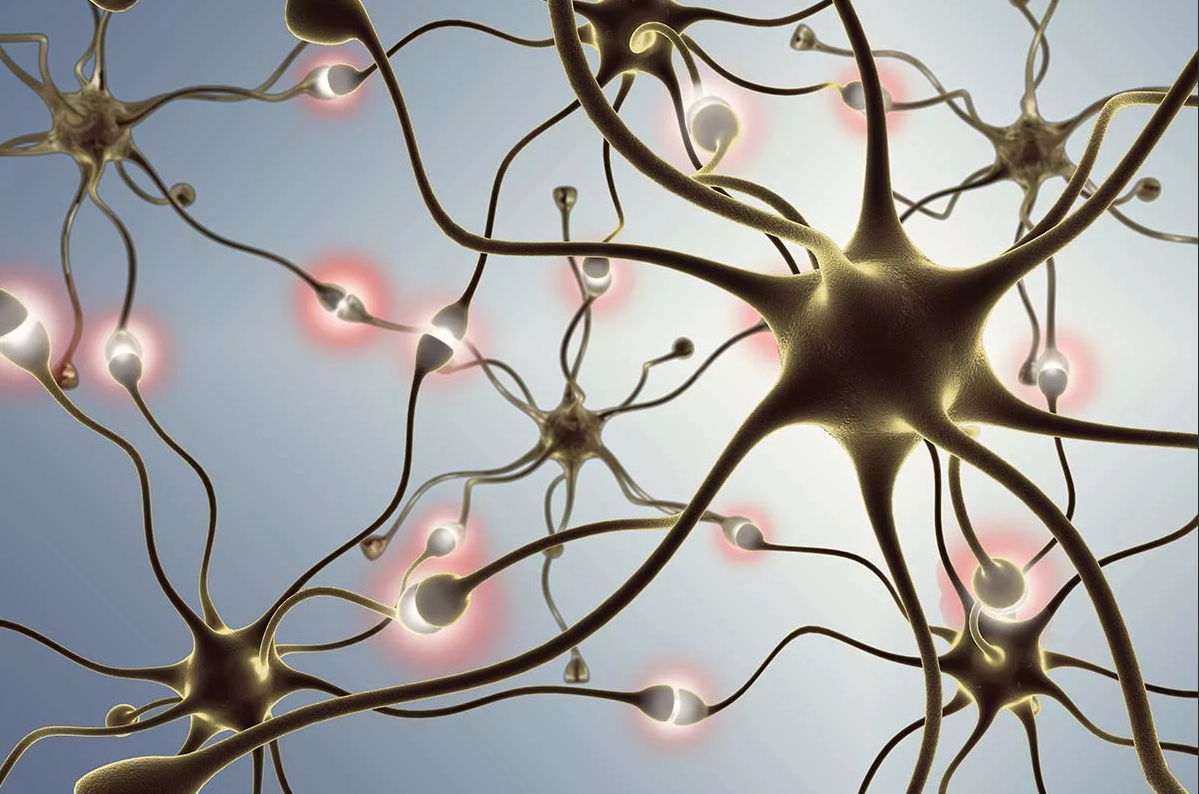 Из просторов интернета